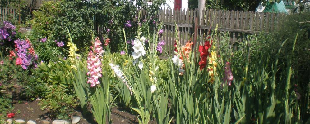 
            Фотография Журова