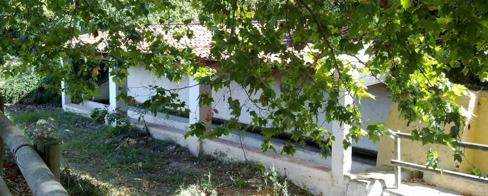 Фотография Салем