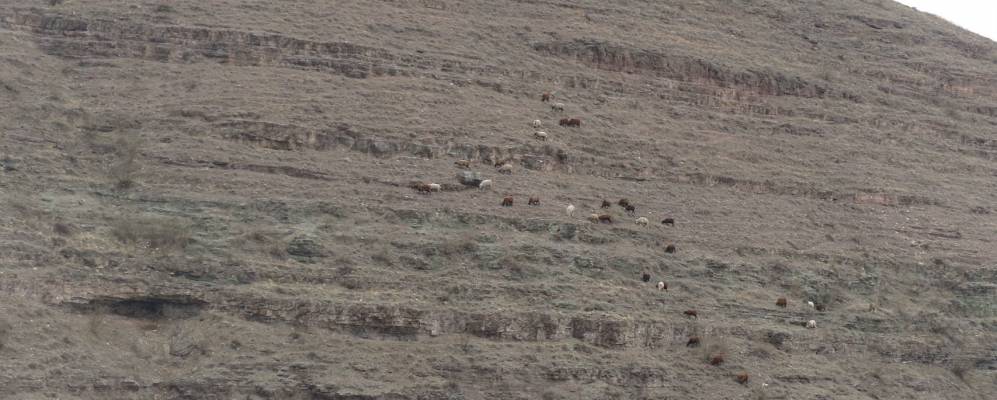 Фотография Нижней Кои