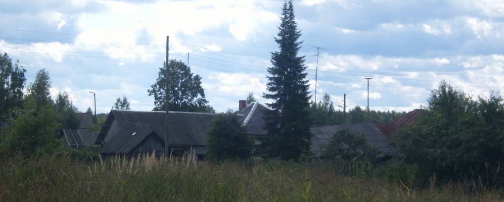 
            Фотография Малиновки