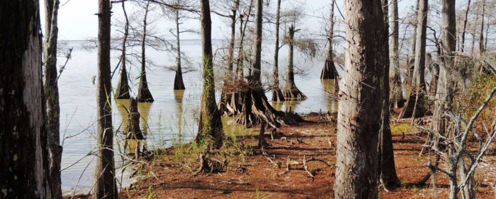 
            Фотография Анахуака