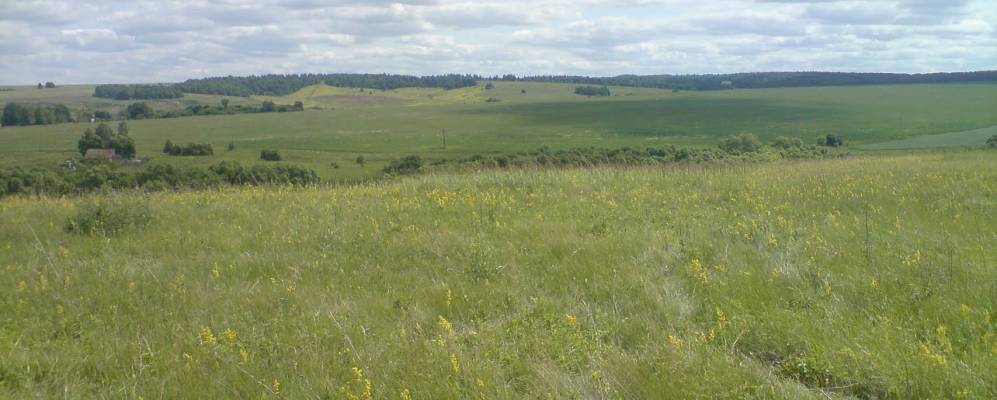 
            Фотография Плодопитомнического