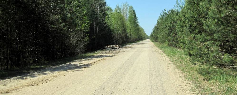 Фотография Малиновки