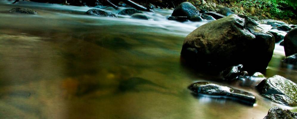 
            Фотография Честнат Риджа