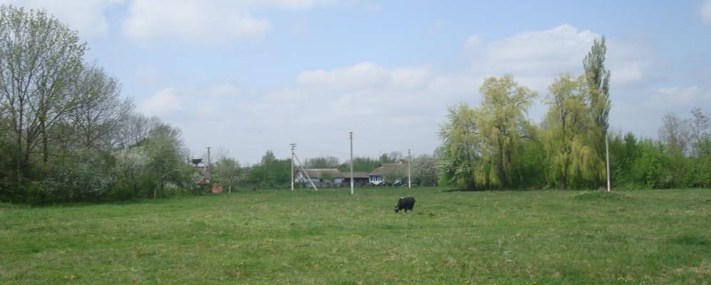 
            Фотография Малой Медведевки