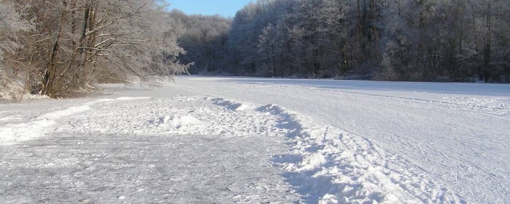
            Фотография Ольховатки