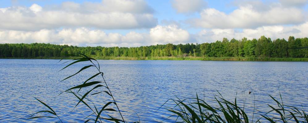 
            Фотография Волчицы