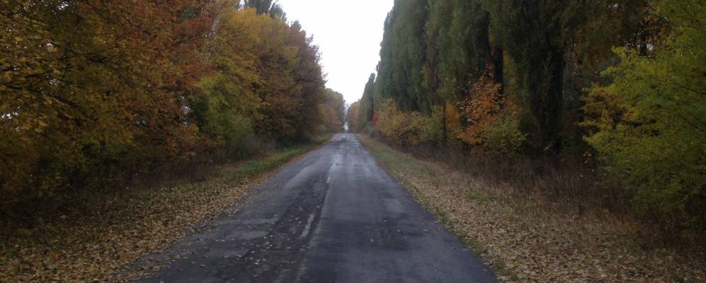 
            Фотография Волковчики