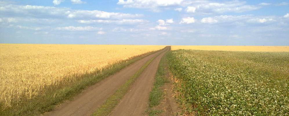 
            Фотография Волковского