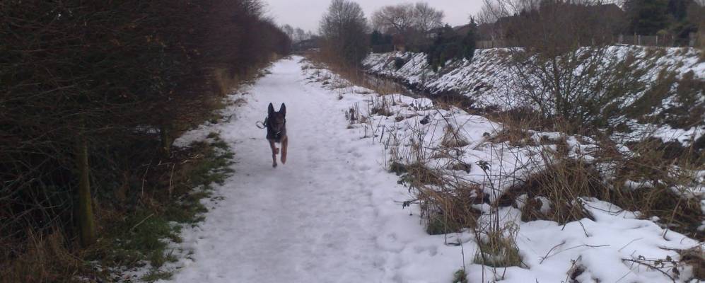 
            Фотография Ли