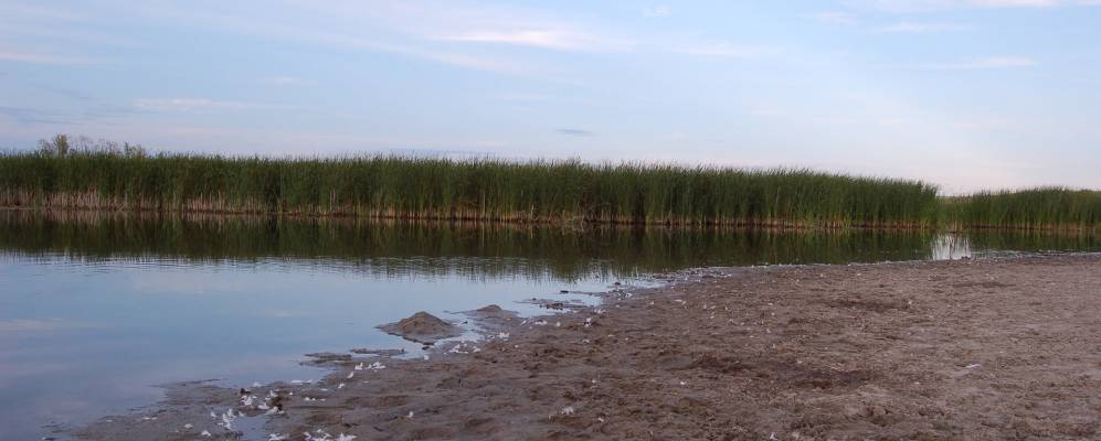 
            Фотография Казнаковки