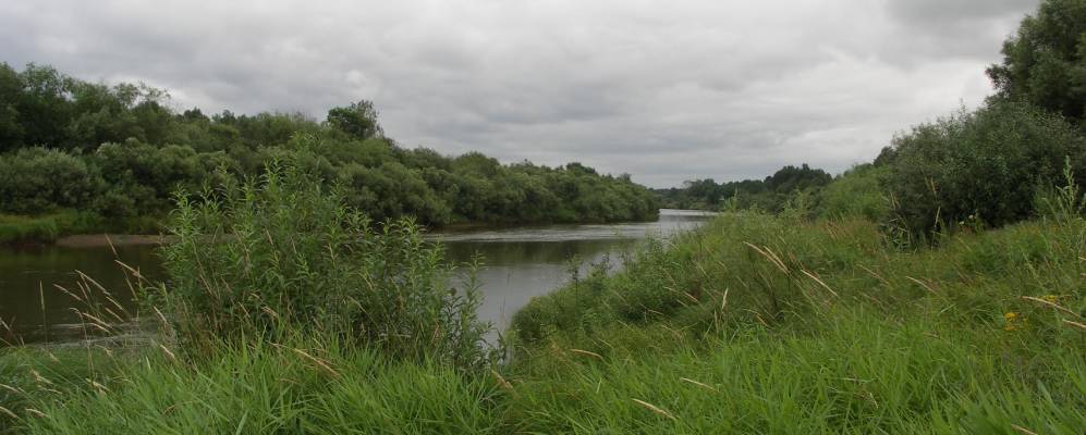 Фотография Коршуново