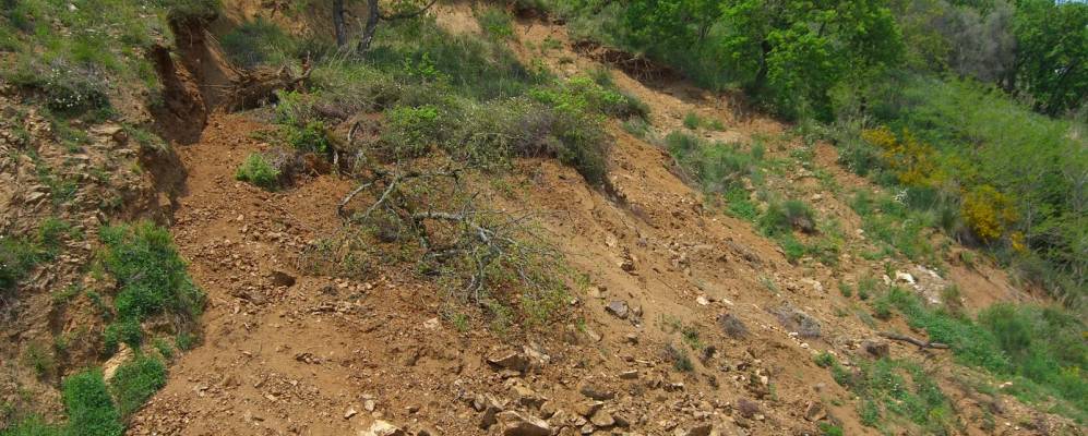 
            Фотография Стефанакони