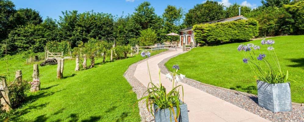 Фотография Ашфорда