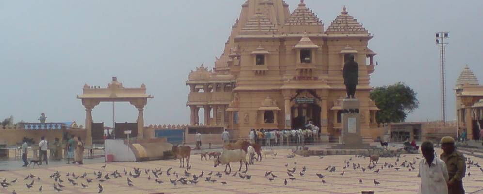 
            Фотография Кодинара