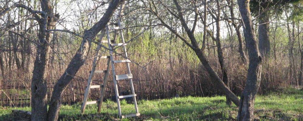 
            Фотография Обруба