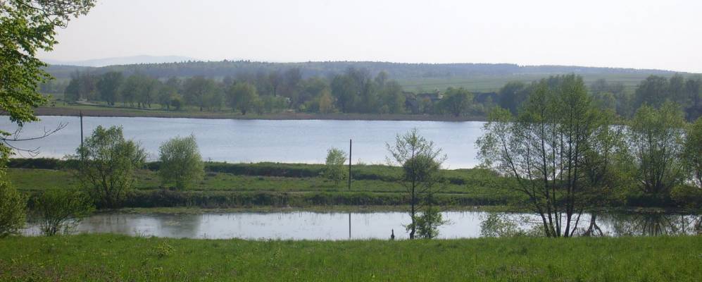 
            Фотография Раковой