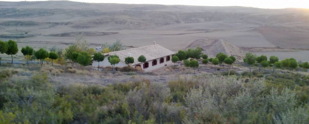 
            Фотография Альпа