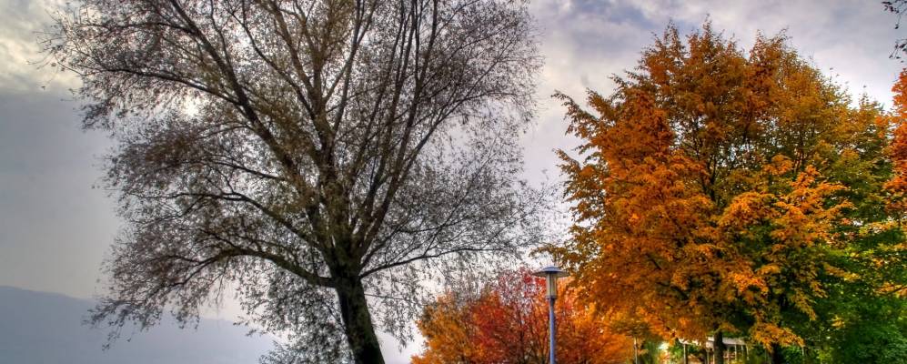 
            Фотография Зипплингена