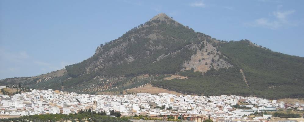 Фотография Руте