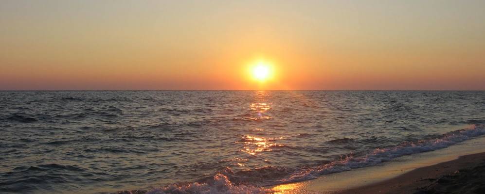 Фотография Неи Пори