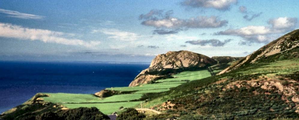 
            Фотография Нефина