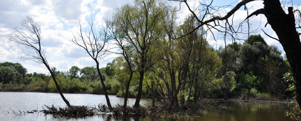 
            Фотография Березянки