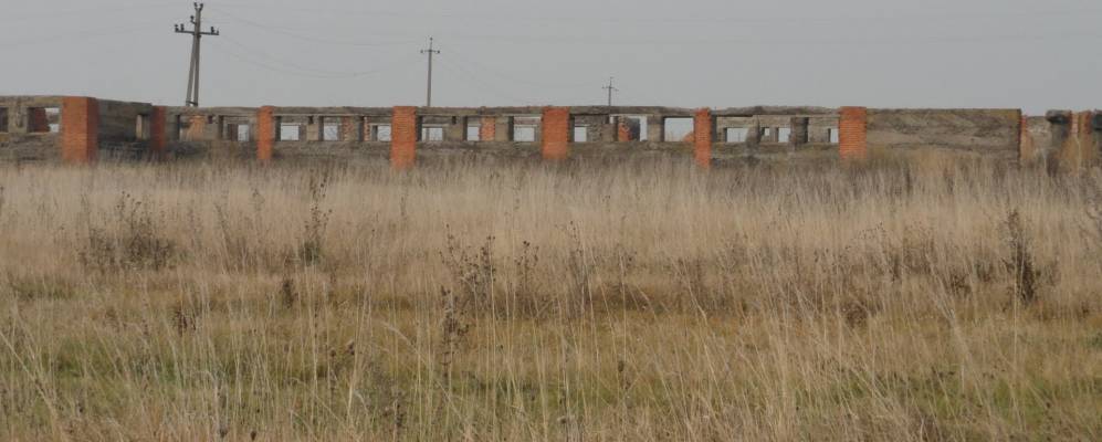 Фотография Гвоздиковки