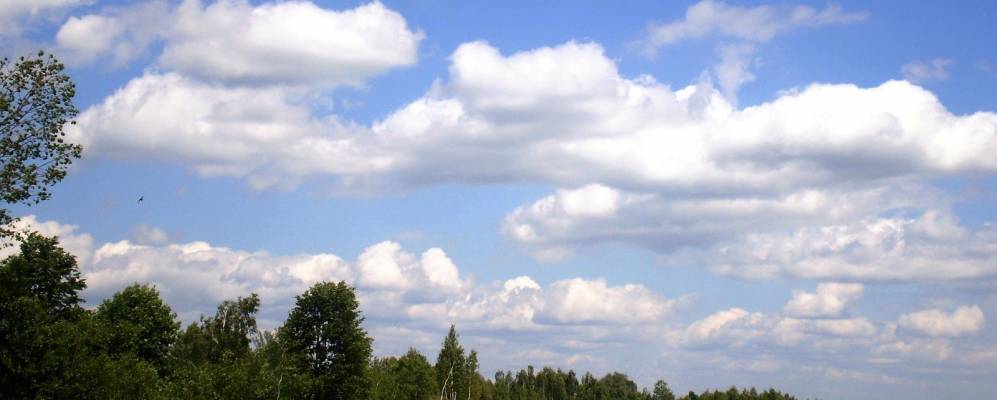 
            Фотография Кошелевки