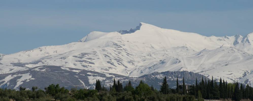 
            Фотография Альфакара