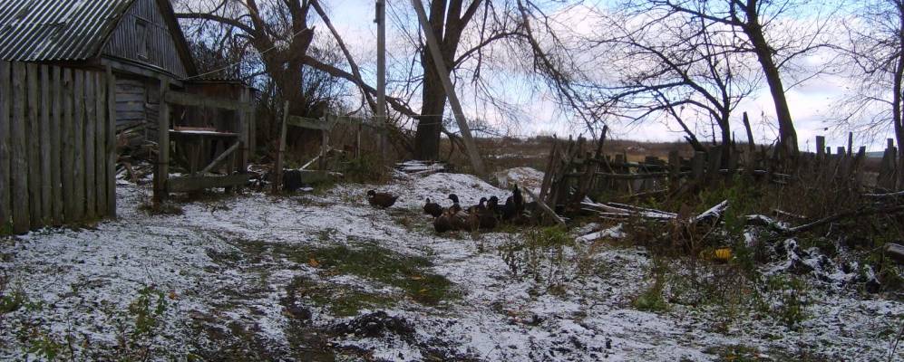 
            Фотография Звезды