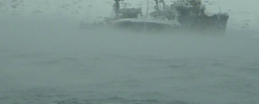 
            Фотография Горячих Ручьев