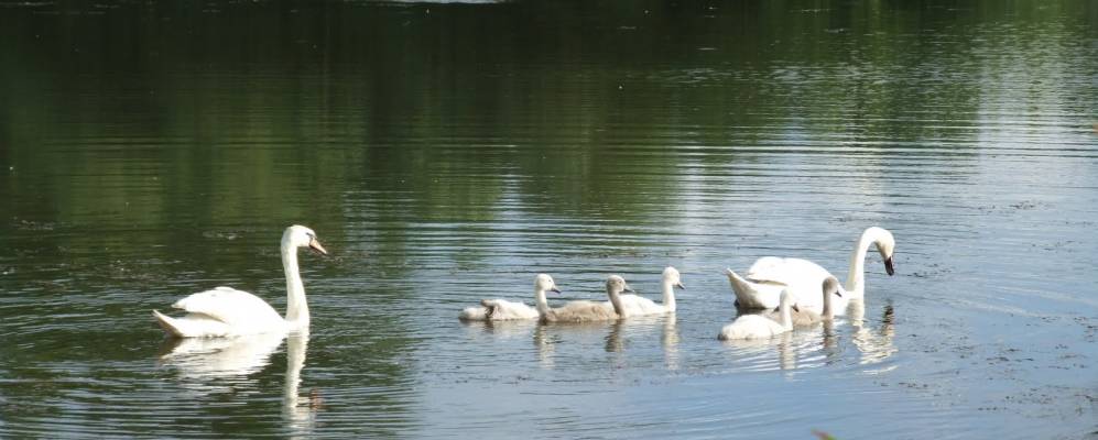 Фотография Великой Волицы