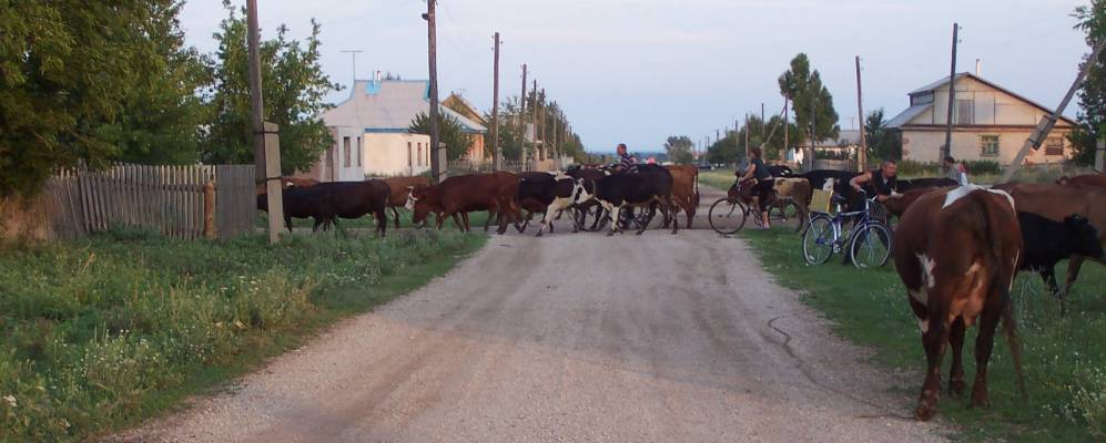 Фотография Макинки