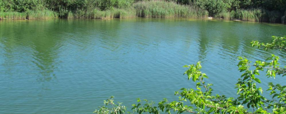 
            Фотография Погребы