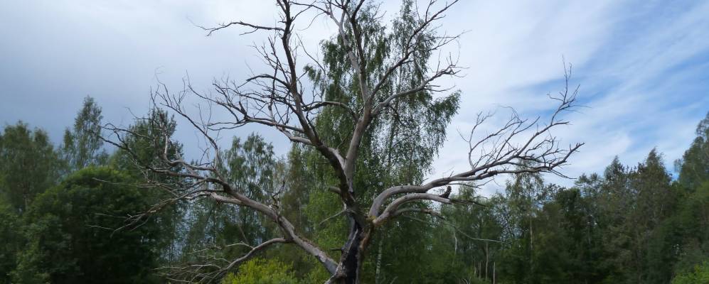 
            Фотография Горки