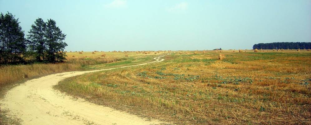 Фотография Рубаного