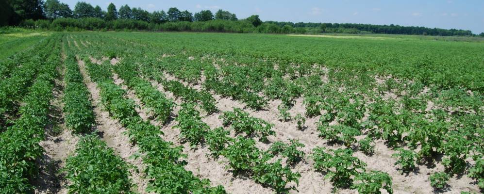 Фотография Великой Горбаши