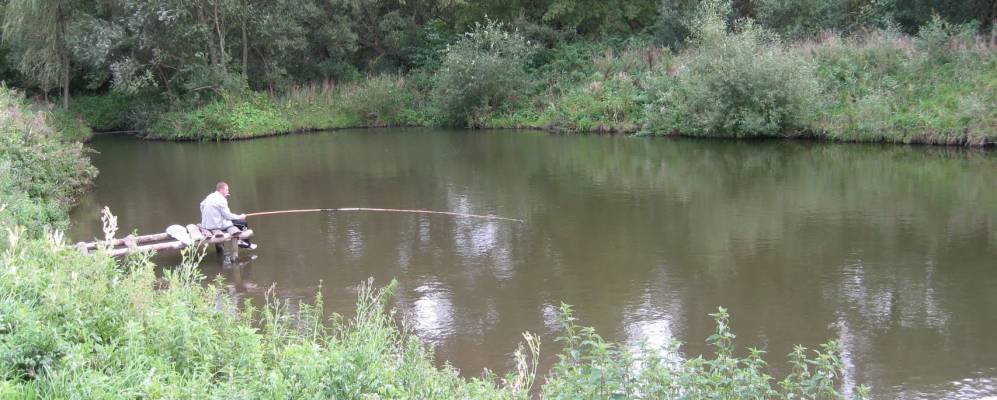 
            Фотография Яремичи