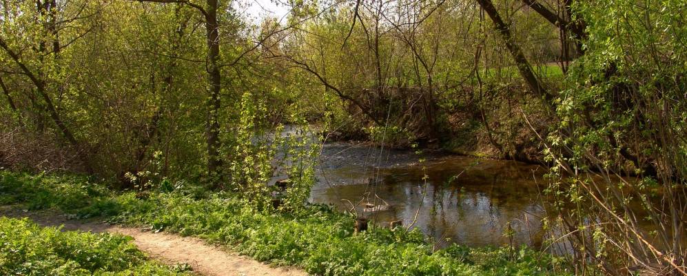 
            Фотография Борщевцы