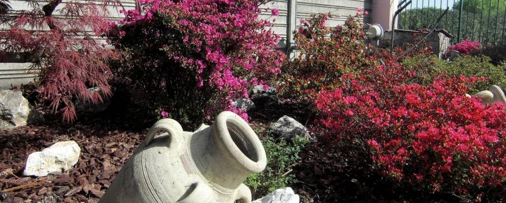 
            Фотография Мотта-Висконти