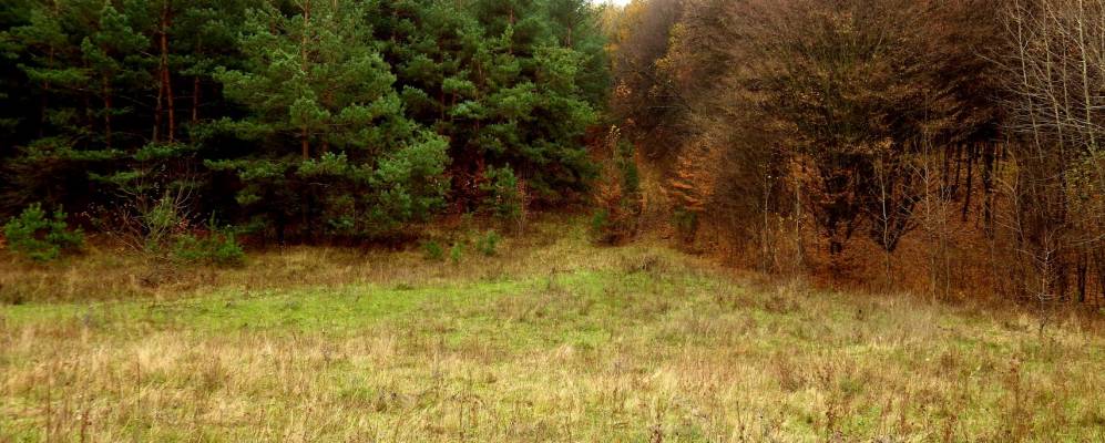 
            Фотография Кобыляков