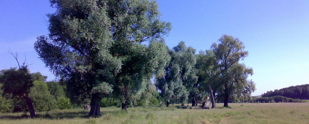 Фотография Красного Октября