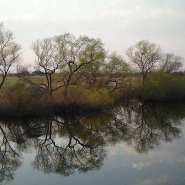 Плотниково