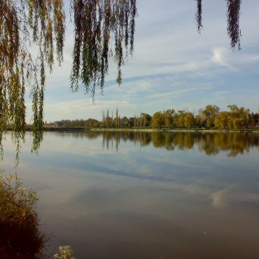 Алексеевский