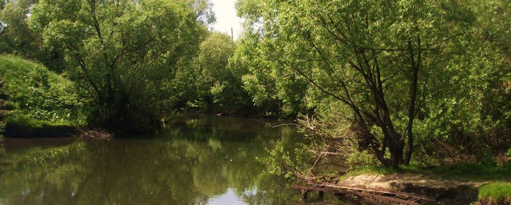 
            Фотография Солнечного