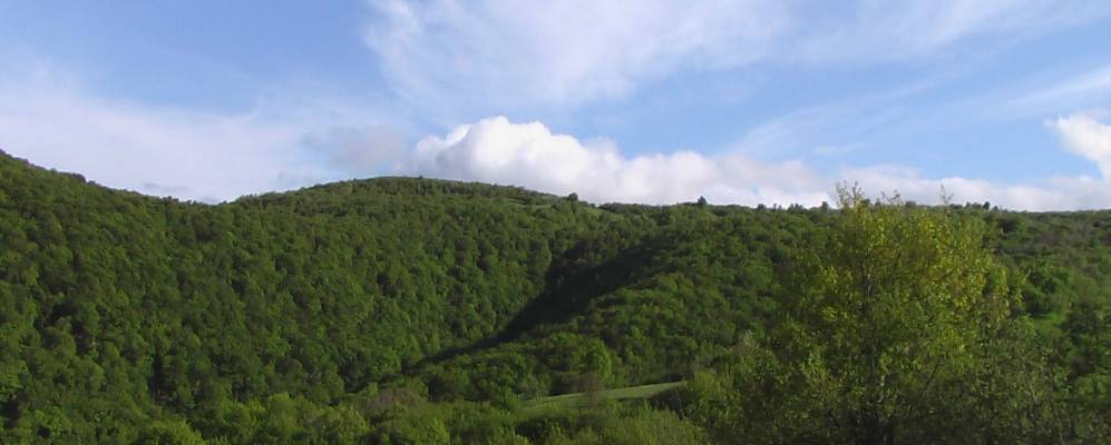 
            Фотография Цухдиха