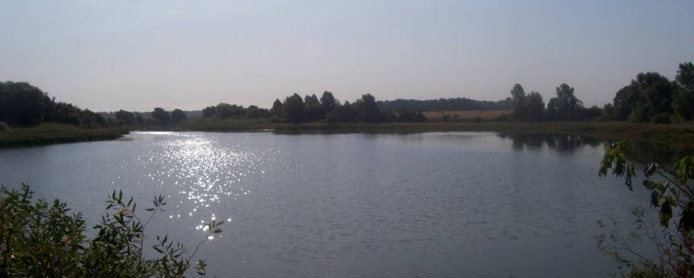 
            Фотография Осетровых Отрубов