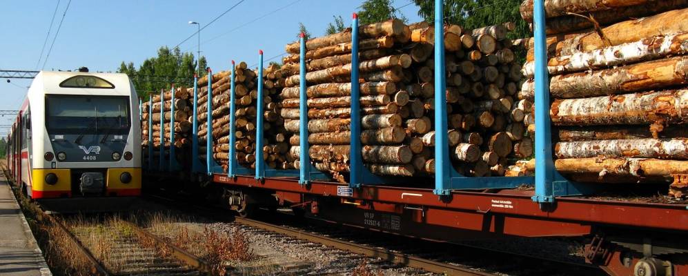 
            Фотография Париккалы