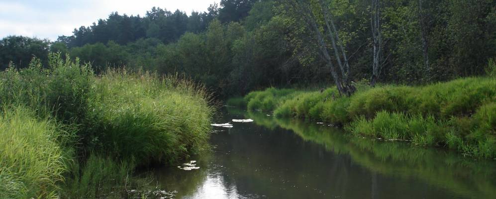 
            Фотография Волково